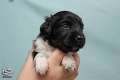 © all rights reserved - Photo by Lisanne Bakker