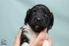 © all rights reserved - Photo by Lisanne Bakker