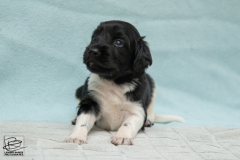 © all rights reserved - Photo by Lisanne Bakker