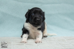 © all rights reserved - Photo by Lisanne Bakker