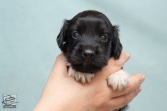 © all rights reserved - Photo by Lisanne Bakker