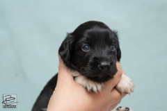 © all rights reserved - Photo by Lisanne Bakker