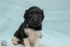 © all rights reserved - Photo by Lisanne Bakker