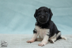 © all rights reserved - Photo by Lisanne Bakker