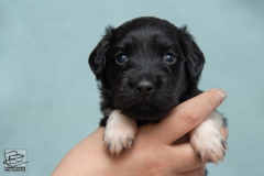 © all rights reserved - Photo by Lisanne Bakker