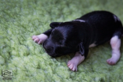 © all rights reserved - Photo by Lisanne Bakker