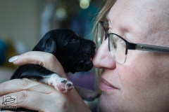 © all rights reserved - Photo by Lisanne Bakker