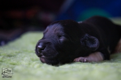 © all rights reserved - Photo by Lisanne Bakker