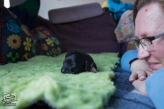 © all rights reserved - Photo by Lisanne Bakker