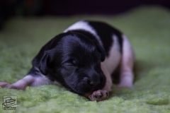 © all rights reserved - Photo by Lisanne Bakker