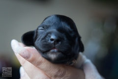 © all rights reserved - Photo by Lisanne Bakker