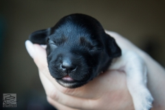 © all rights reserved - Photo by Lisanne Bakker