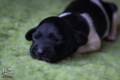 © all rights reserved - Photo by Lisanne Bakker