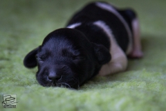 © all rights reserved - Photo by Lisanne Bakker