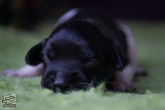 © all rights reserved - Photo by Lisanne Bakker