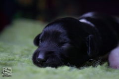 © all rights reserved - Photo by Lisanne Bakker