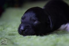 © all rights reserved - Photo by Lisanne Bakker