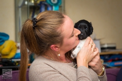 © all rights reserved - Photo by Lisanne Bakker