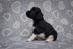 © all rights reserved - Photo by Lisanne Bakker