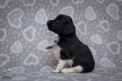 © all rights reserved - Photo by Lisanne Bakker