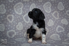 © all rights reserved - Photo by Lisanne Bakker