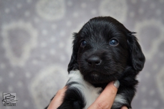 © all rights reserved - Photo by Lisanne Bakker