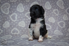 © all rights reserved - Photo by Lisanne Bakker