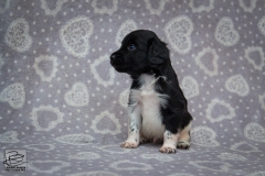 © all rights reserved - Photo by Lisanne Bakker