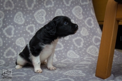 © all rights reserved - Photo by Lisanne Bakker