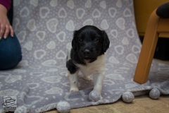 © all rights reserved - Photo by Lisanne Bakker