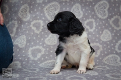 © all rights reserved - Photo by Lisanne Bakker