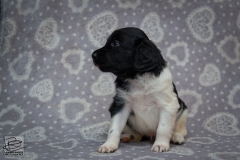 © all rights reserved - Photo by Lisanne Bakker