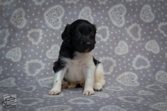 © all rights reserved - Photo by Lisanne Bakker