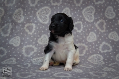 © all rights reserved - Photo by Lisanne Bakker