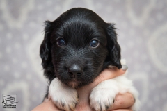 © all rights reserved - Photo by Lisanne Bakker