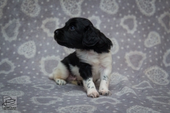 © all rights reserved - Photo by Lisanne Bakker