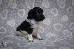 © all rights reserved - Photo by Lisanne Bakker