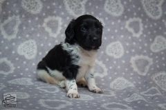 © all rights reserved - Photo by Lisanne Bakker