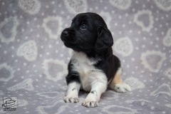 © all rights reserved - Photo by Lisanne Bakker