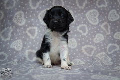 © all rights reserved - Photo by Lisanne Bakker