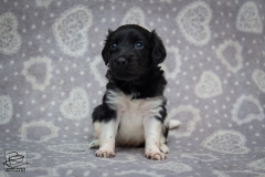 © all rights reserved - Photo by Lisanne Bakker