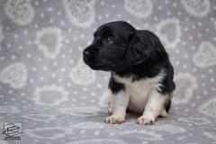 © all rights reserved - Photo by Lisanne Bakker