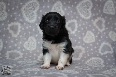 © all rights reserved - Photo by Lisanne Bakker