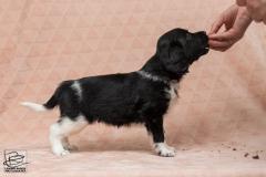 © all rights reserved - Photo by Lisanne Bakker