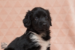 © all rights reserved - Photo by Lisanne Bakker