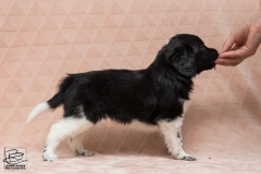 © all rights reserved - Photo by Lisanne Bakker