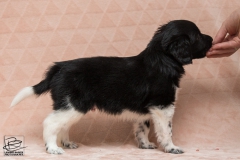 © all rights reserved - Photo by Lisanne Bakker