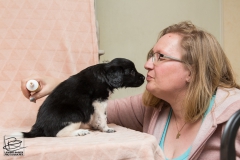 © all rights reserved - Photo by Lisanne Bakker