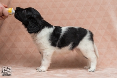 © all rights reserved - Photo by Lisanne Bakker