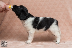 © all rights reserved - Photo by Lisanne Bakker